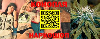 крисы Кинель