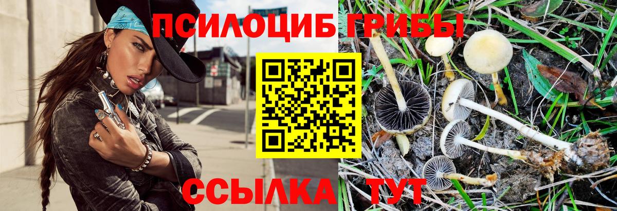 Псилоцибиновые грибы Magic Shrooms  Вход с VPN  Домодедово  Псилоцибиновые грибы GOLDEN TEACHER 