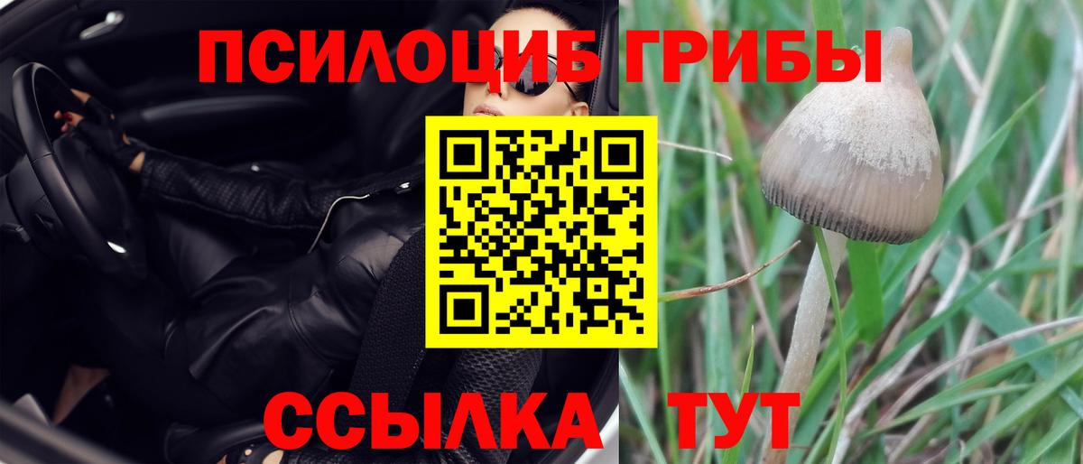 Псилоцибиновые грибы мухоморы Домодедово
